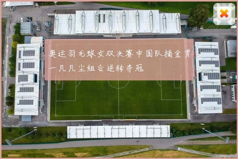 奥运羽毛球女双决赛中国队摘金贾一凡凡尘组合逆转夺冠