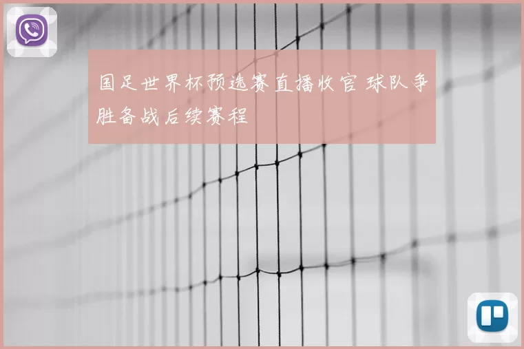 国足世界杯预选赛直播收官 球队争胜备战后续赛程