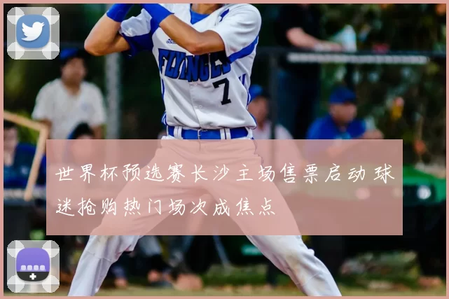 世界杯预选赛长沙主场售票启动 球迷抢购热门场次成焦点