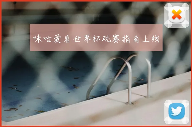 咪咕爱看世界杯观赛指南上线