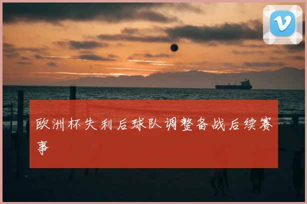欧洲杯失利后球队调整备战后续赛事