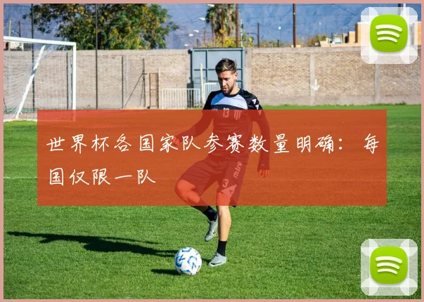 世界杯各国家队参赛数量明确:每国仅限一队