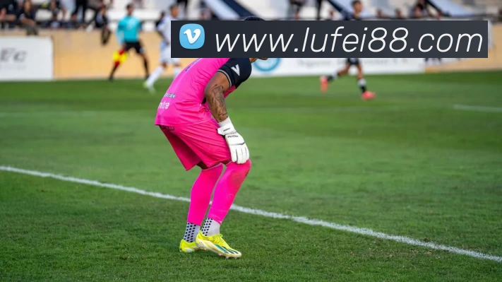 新爱体育官方网站 - 新爱体育(中国)品牌故事