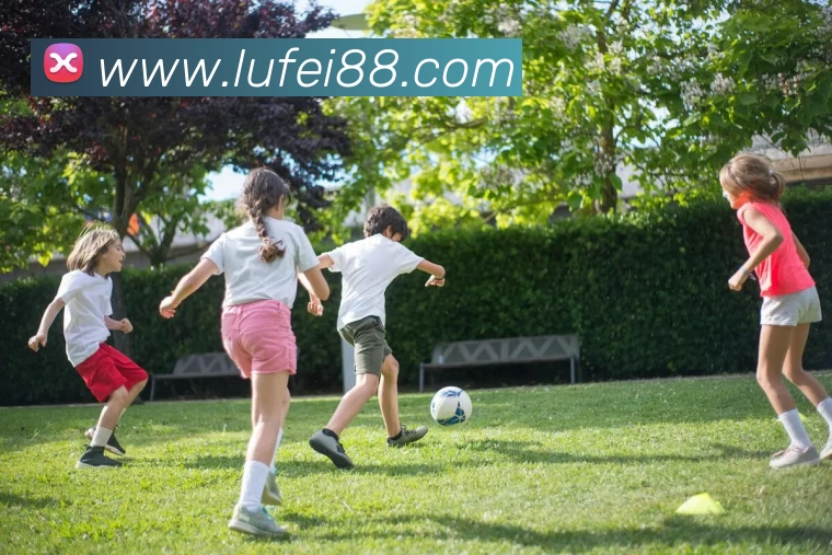 新爱体育官方网站 - 新爱体育(中国)服务体系